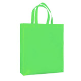 Non Woven Shopping Bag