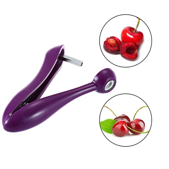 5'' Cherry Fruit Kitchen Pitter Remover