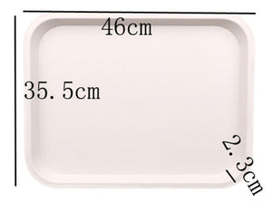 ABS Anti Slip Plastic Tray